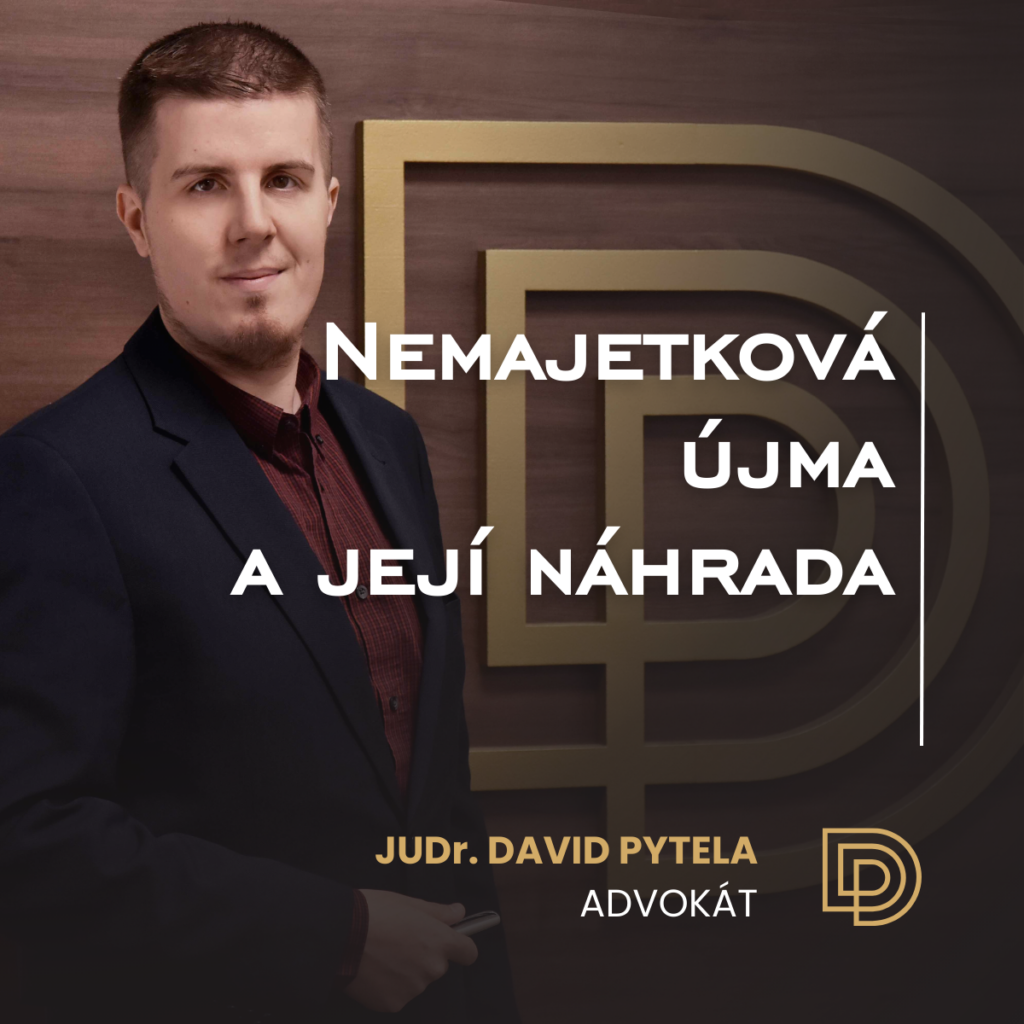Nemajetková újma a její náhrada