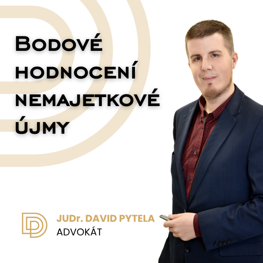 Bodové hodnocení nemajetkové újmy