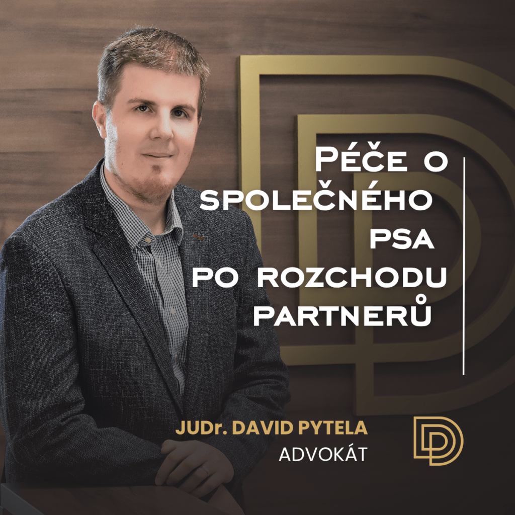 Péče o společného psa po rozchodu partnerů